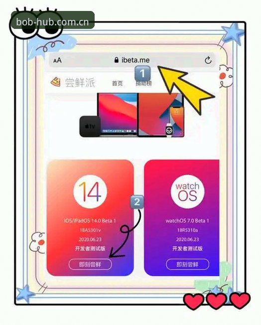 揭秘半岛BOB苹果版安卓版：新手必看的一站式移动端体育体验指南